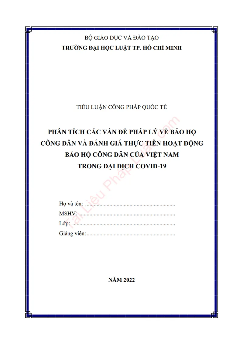 Ảnh bìa Tiểu luận: Phân tích các vấn đề pháp lý về bảo hộ công dân và đánh giá thực tiễn hoạt động bảo hộ công dân của Việt Nam trong đại dịch Covid-19