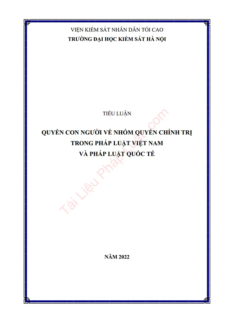 Ảnh bìa Tiểu luận: Quyền con người về nhóm quyền chính trị trong pháp luật Việt Nam và pháp luật quốc tế