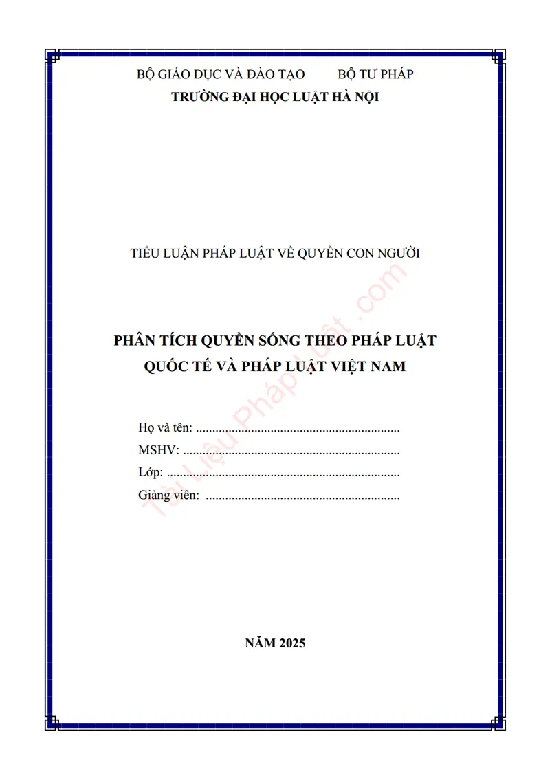 Ảnh bìa Tiểu luận: Phân tích quyền sống theo pháp luật quốc tế và pháp luật Việt Nam